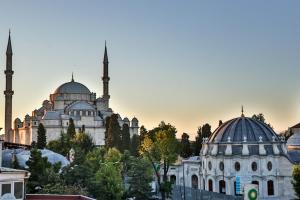伊斯坦布尔HANENDE HOTEL的一座清真寺,有两座圆顶,另一座清真寺在城市