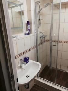 陶普利茨Appartement Bergblick的一间带水槽和淋浴的浴室