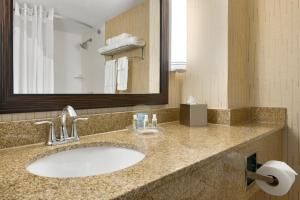 德卢斯德卢斯市中心假日套房酒店的一间带水槽和镜子的浴室