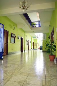 危地马拉Hotel Posada del Centro的一条空的走廊,有绿色的墙壁和盆栽植物