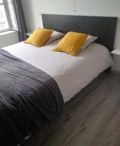 德帕内De Verloren Gernoare的床上有两张黄色枕头