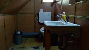 帕迪斯Cabana MonteRio的一间带水槽和卫生间的小浴室