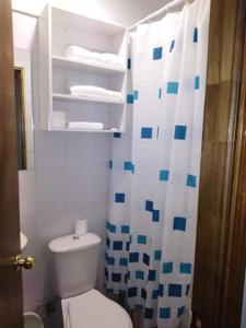 康塞普西翁Hotel Eclipse的一间带卫生间和淋浴帘的浴室
