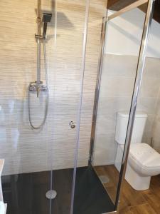 伊斯拉Apartamento del Abuelo的带淋浴和卫生间的浴室