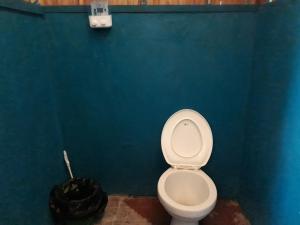 KriTurtle Dive Homestay的浴室设有白色卫生间和蓝色的墙壁。
