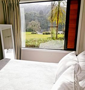 图朗伊Braxmere Lodge的一间卧室设有一张床和一个大窗户