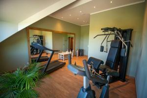 爱尔福特厄弗特-阿普费尔斯特贝斯特韦斯特酒店的健身房,室内设有健身器材