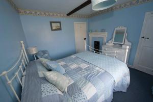 霍尔特Delphinium Cottage的一间蓝色卧室,配有一张床和镜子