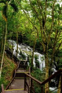 梅山乡鹭露茶居的通往瀑布的楼梯,前面设有长凳