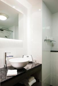 新罗斯布兰之家酒店的白色的浴室设有水槽和镜子