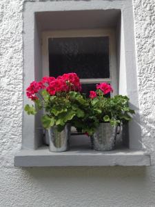 兰施泰因Ferienwohnung Lahnmündung的窗台上两桶红色花