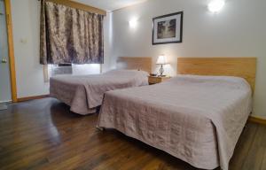 MontagueWinds Motel的酒店客房设有两张床和窗户。