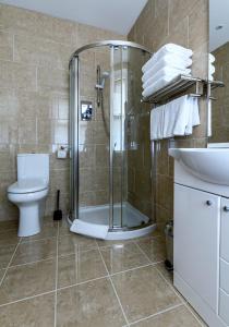 皮特洛赫里阿瑟尔别墅旅馆的带淋浴、卫生间和盥洗盆的浴室
