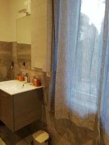兰佐丁泰尔维La casa di Beppe c cir D1135的一间带水槽和淋浴帘的浴室