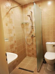 BozhuretsVilla Liana的带淋浴、卫生间和盥洗盆的浴室