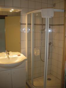 莫尔济讷泰特拉大酒店的带淋浴和盥洗盆的浴室