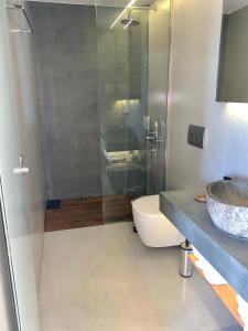斯塔罗斯菲德拉酒店的一间带卫生间和玻璃淋浴间的浴室