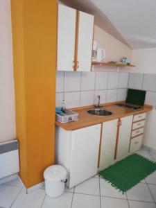 Apartman Dino的厨房或小厨房