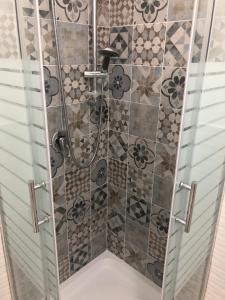 泰拉西尼La Ruota B&B的浴室里设有玻璃门淋浴