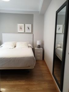 卢戈APARTAMENTOS PORTA NOVA的一间卧室配有一张床和一面大镜子