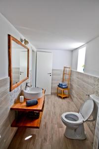 Zgornja KungotaVila Loni的一间带卫生间、水槽和镜子的浴室