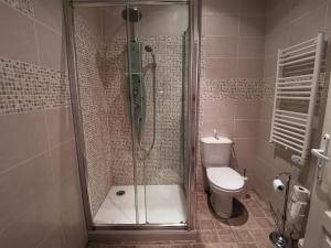 SauvillePresbytere的带淋浴和卫生间的浴室