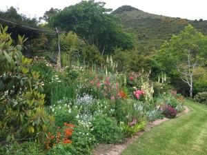 Hereweka Garden Retreat外面的花园