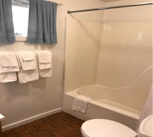 威尔明顿The Wilderness Inn: Chalets的带淋浴、卫生间和浴缸的浴室