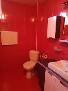 维丁Vival Hotel的红色的浴室设有卫生间和水槽