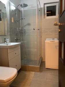 布加勒斯特Apartament Cristina的带淋浴、盥洗盆和卫生间的浴室
