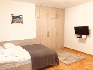 布达佩斯Heroes’ Residence II的一间卧室配有一张带橱柜的床和一台电视