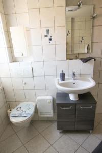 普鲁滕Steffchen EG的一间带卫生间和水槽的浴室