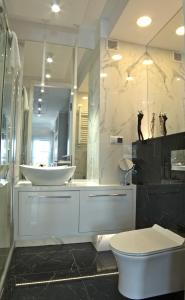 托伦Blue Velvet Premium Apartments II的一间带水槽、卫生间和镜子的浴室