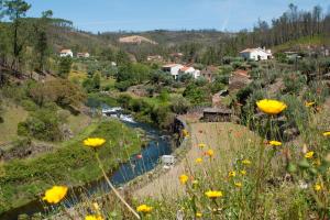 Maljoga de ProençaAzoka by the River- Proença-a-Nova的山坡上一条黄色花的河流的景色