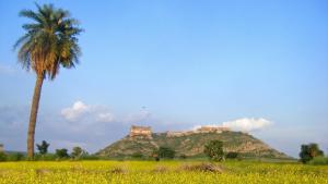 阿尔瓦尔Neemrana's - Tijara Fort Palace的棕榈树和山顶上的城堡