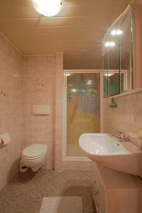 法克湖Haus am Wald的一间带卫生间和水槽的浴室