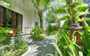 努沙杜瓦棕榈竹酒店的种有棕榈树和步道的花园