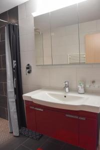 TramelanChez Julia的一间带水槽和镜子的浴室
