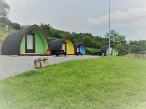 罗斯特雷弗East Coast Adventure Centre Glamping的草场上的一组帐篷