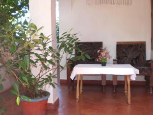 瓦尔卡拉吉奇斯巢旅馆的一张桌子,上面有白色的桌布和植物