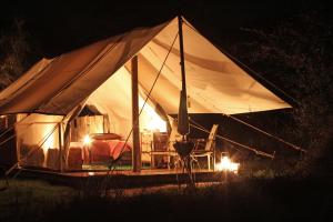 阿马卡拉保护区Quatermain's 1920's Safari Camp – Amakhala Game Reserve的夜晚在田野里带一张床和椅子的帐篷