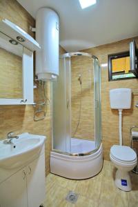 JevtićiTara lake apartments的带淋浴、卫生间和盥洗盆的浴室