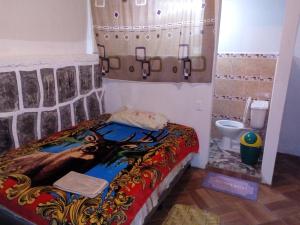 圣佩德罗拉拉古纳Casa LLEMO的一间带床和卫生间的小浴室