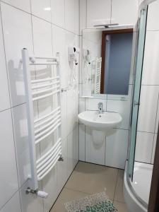 H-Odra Nowa Sól的一间浴室