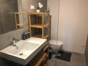 克拉尼斯卡戈拉Ski and Bike Apartment Rušovc的一间带水槽和卫生间的浴室