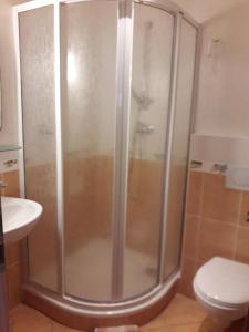 俄斯特拉发玛丽亚酒店的带淋浴的浴室(带卫生间和水槽)