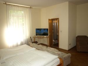 巴特基辛根Hotel Villa Arnold的一间卧室配有一张床和一台平面电视