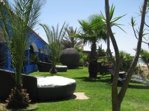塔里法亚特维达酒店的庭院里种有棕榈树的度假胜地