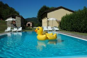 马拉迪Agriturismo Popolano Di Sotto的游泳池中间的黄橡皮鸭