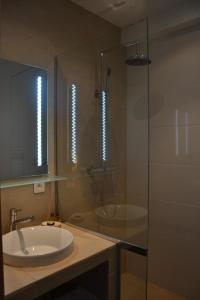 波尔多Burdigala Homes - Appart Duffour Dubergier的一间带水槽和玻璃淋浴的浴室